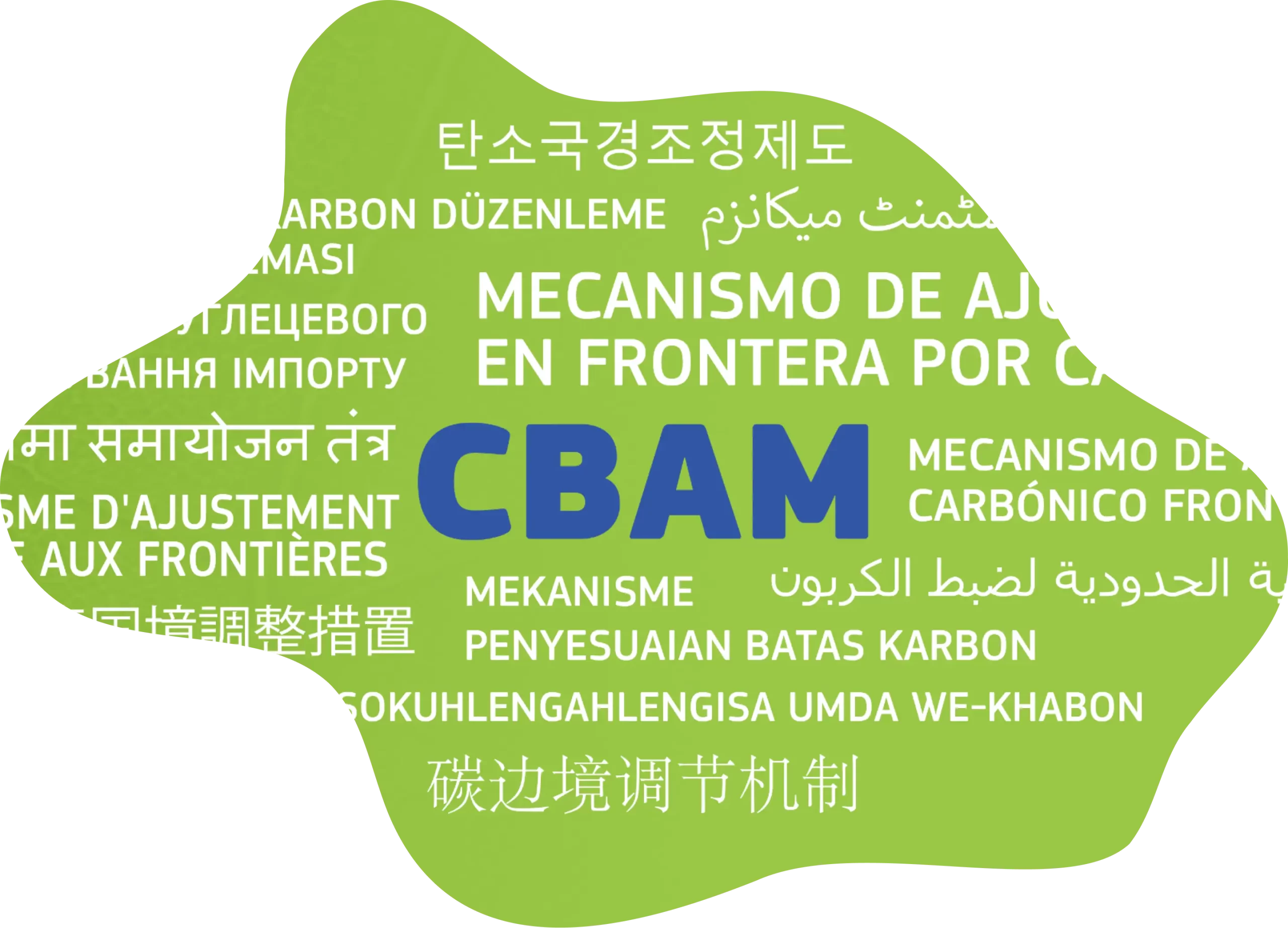 Carbon Transparency & Compliance